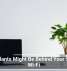 Houseplants Might Be Behind Your Sluggish Wi-Fi