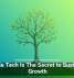 Scalable Tech Is The Secret to Sustainable Growth